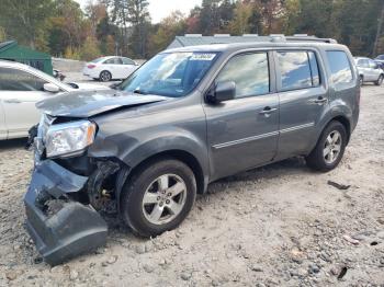  Salvage Honda Pilot