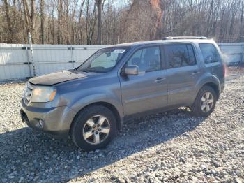  Salvage Honda Pilot