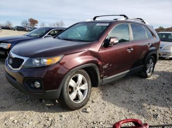  Salvage Kia Sorento