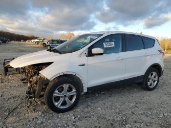  Salvage Ford Escape