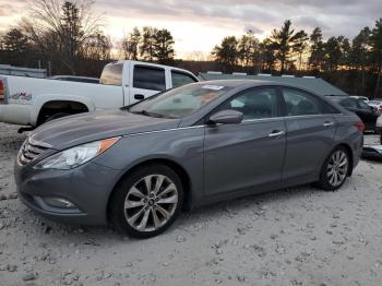  Salvage Hyundai SONATA