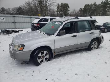  Salvage Subaru Forester