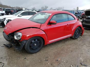  Salvage Volkswagen Beetle