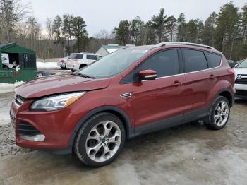  Salvage Ford Escape