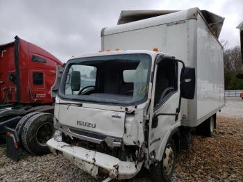  Salvage Isuzu Nqr
