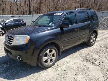  Salvage Honda Pilot