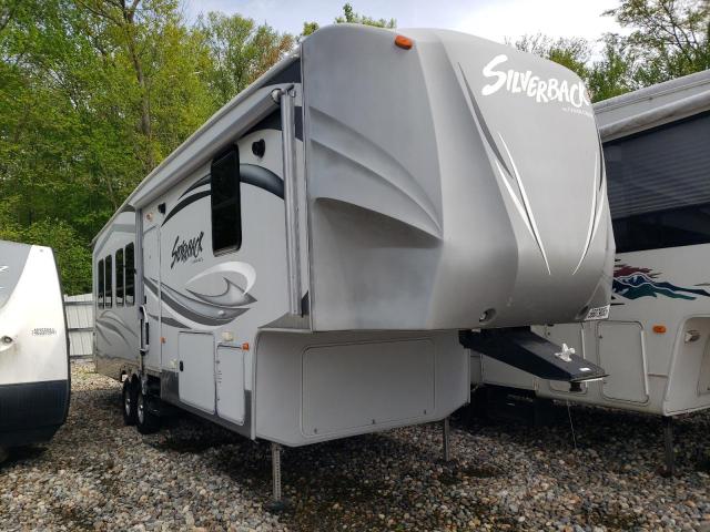  Salvage Wildwood Silverback