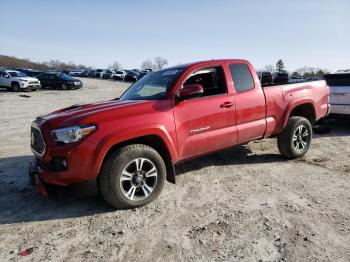  Salvage Toyota Tacoma