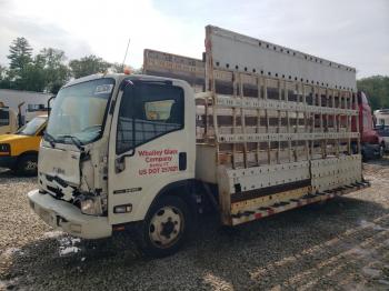  Salvage Isuzu Nrr