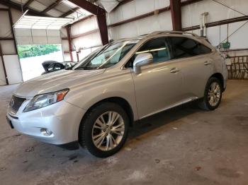  Salvage Lexus RX