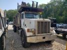 Peterbilt 357 Image 1