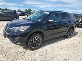  Salvage Honda Crv