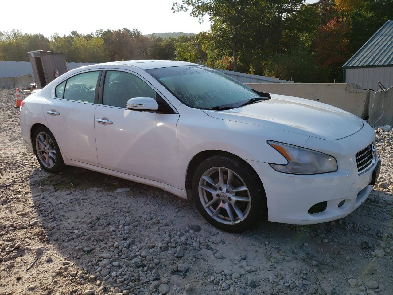 Nissan Maxima S Image 7