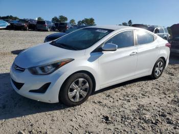  Salvage Hyundai ELANTRA