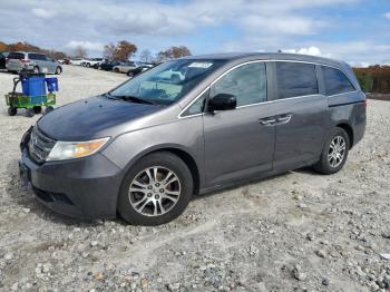  Salvage Honda Odyssey