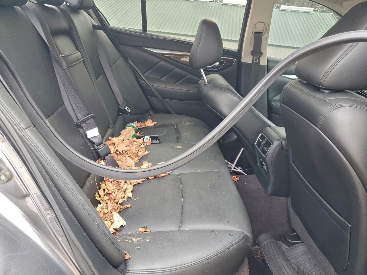 INFINITI Q50 Luxe Image 8