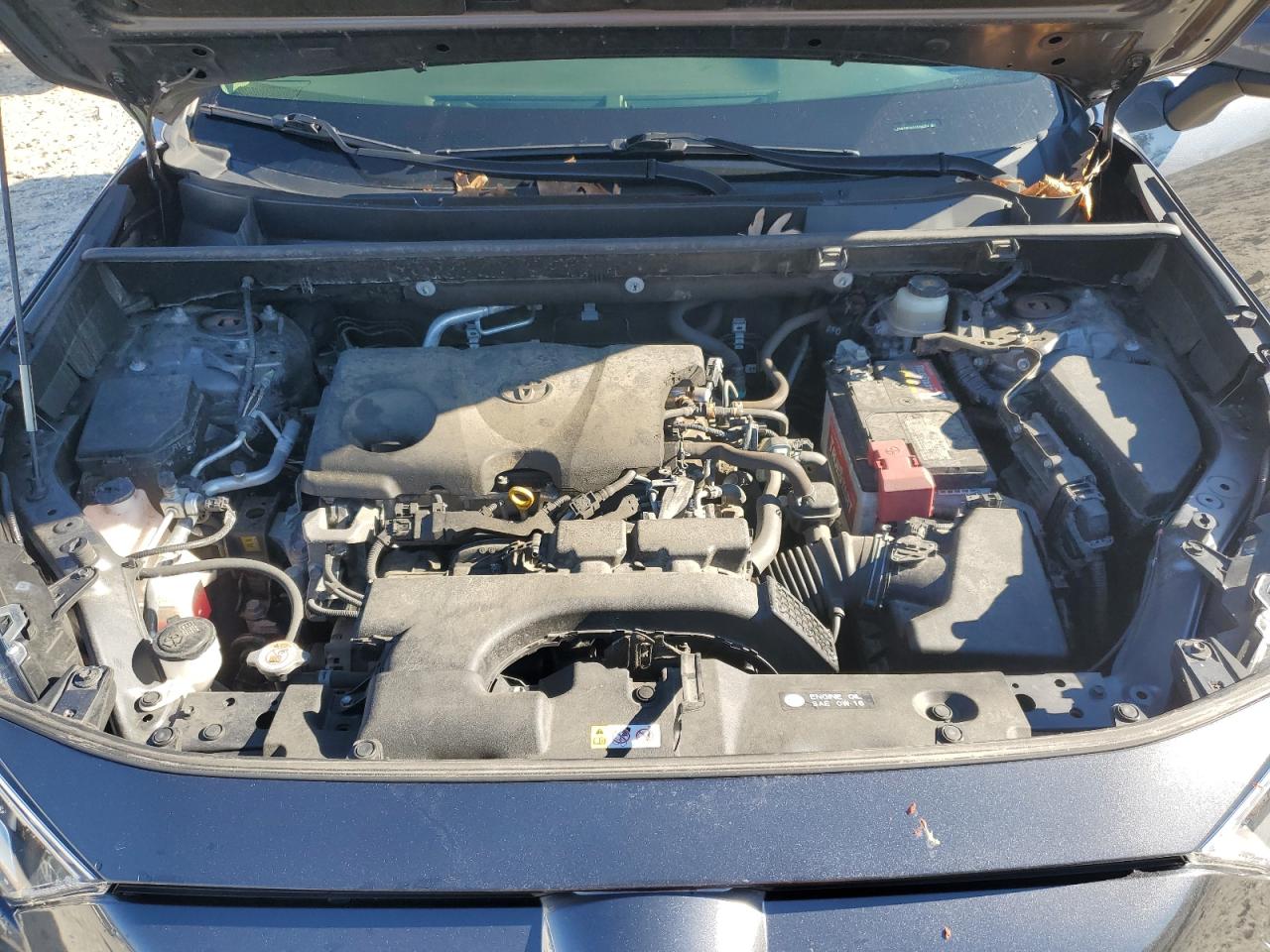 Toyota RAV4 Xle Image 8