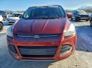 Ford Escape Se Image 12