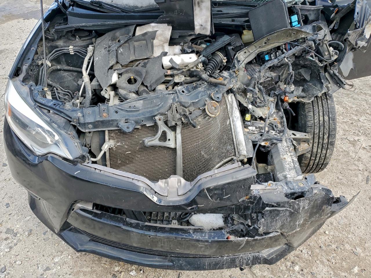 Toyota Corolla L Image 11