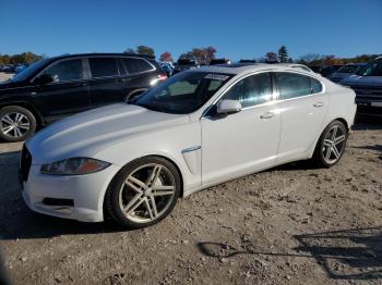  Salvage Jaguar XF