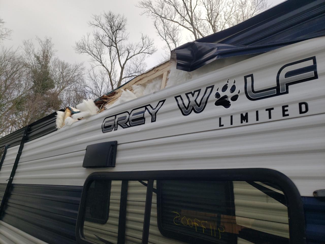 Wildwood Grey Wolf Image 9