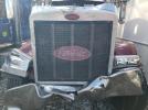 Peterbilt Tractor 379 Image 6