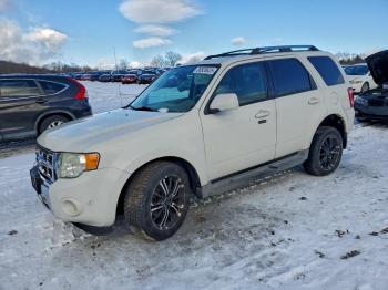  Salvage Ford Escape