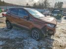 Ford EcoSport Titanium Image 8