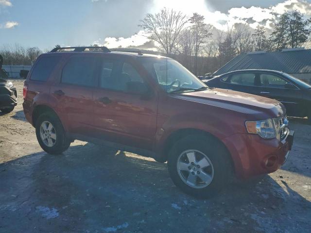 Ford Escape Xlt Image 5