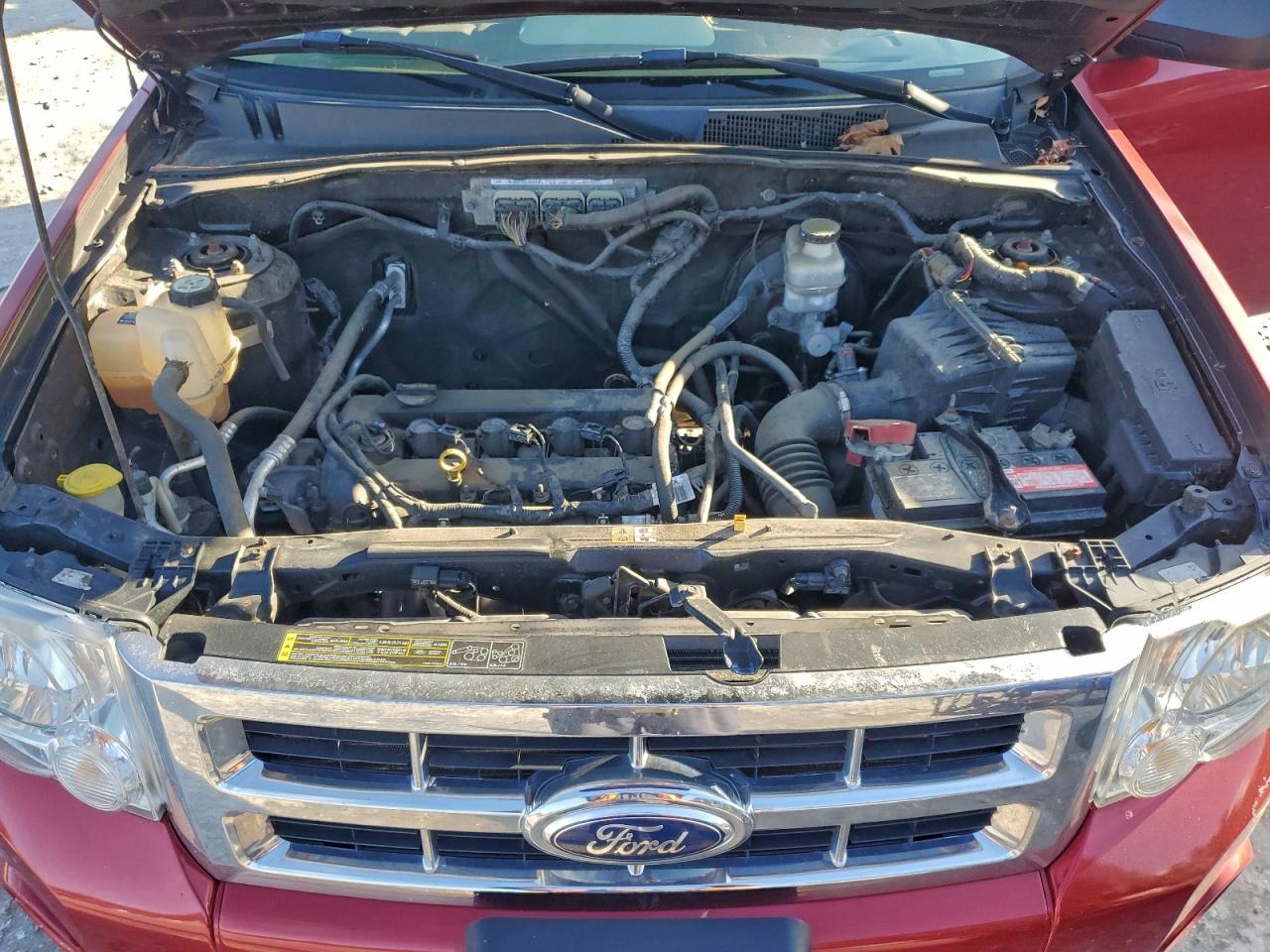 Ford Escape Xlt Image 8