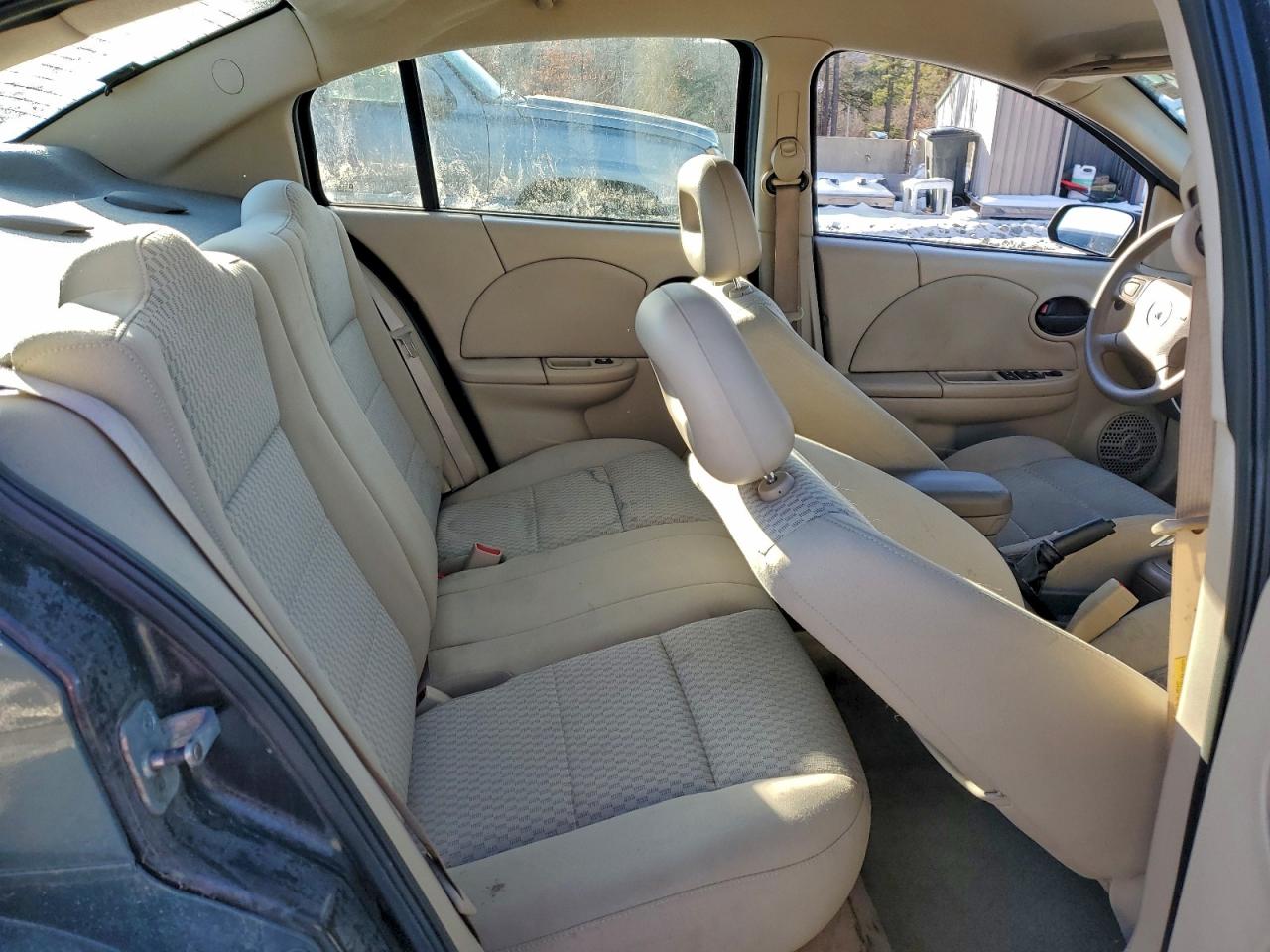 Saturn Ion Level 2 Image 7