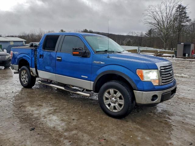 Ford F-150 Supercrew Image 8