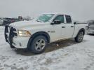 Ram 1500 St Image 1