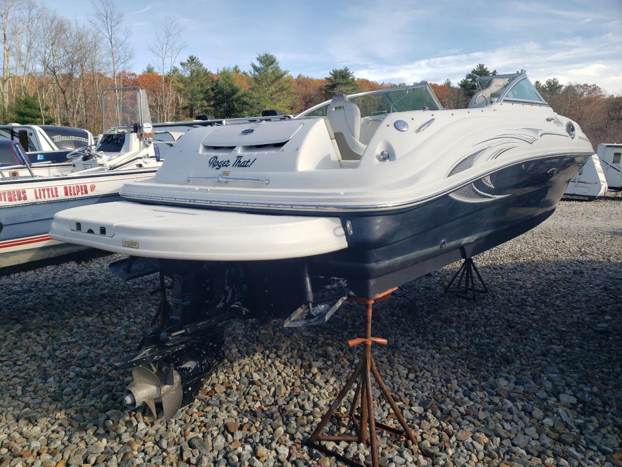 Sea Ray Boat Image 4