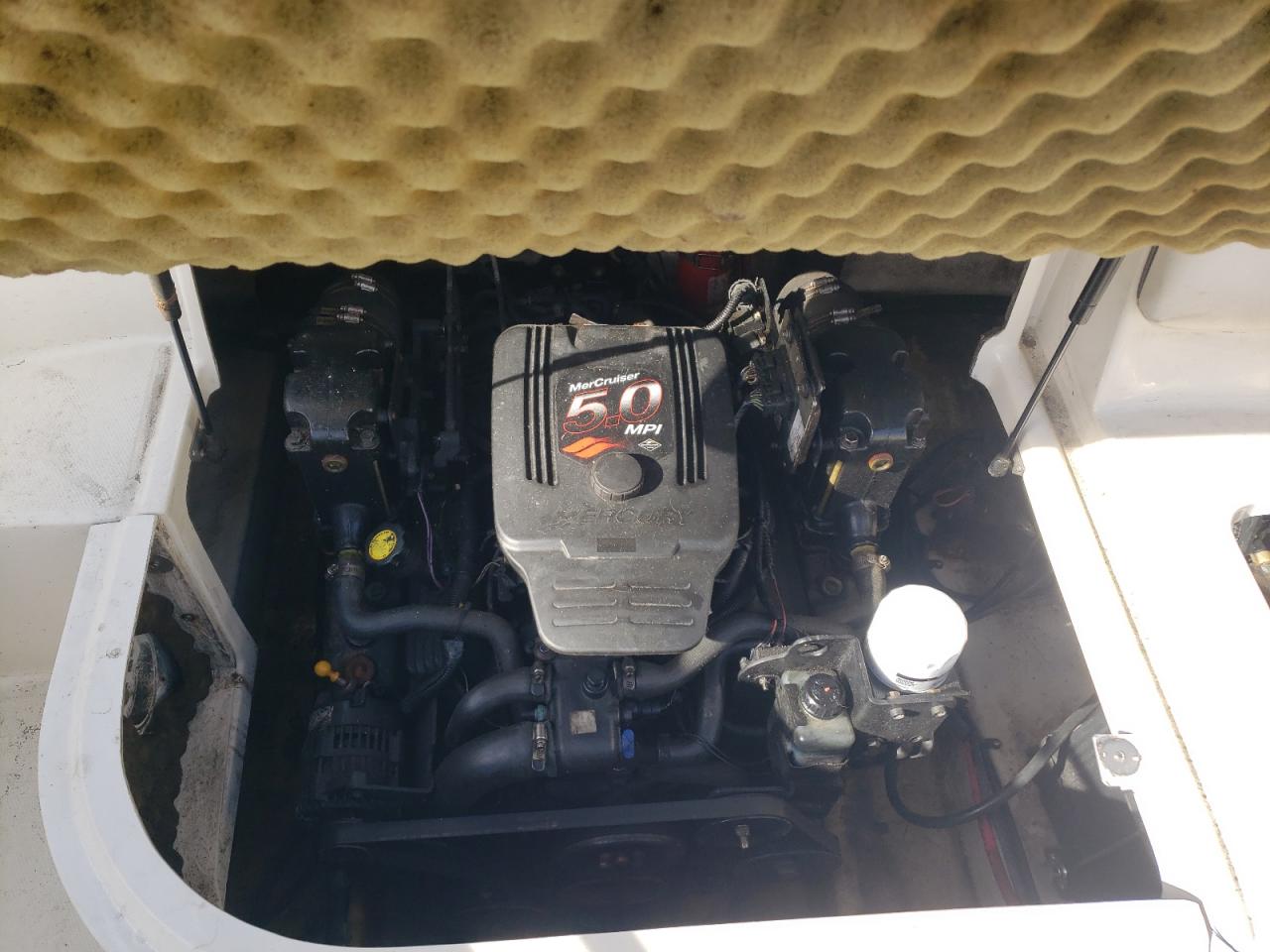 Sea Ray Boat Image 8