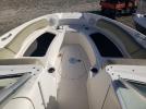 Sea Ray Boat Image 5