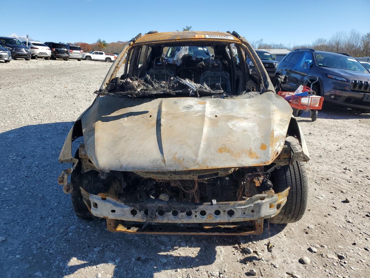 Ford Escape Titanium Image 7